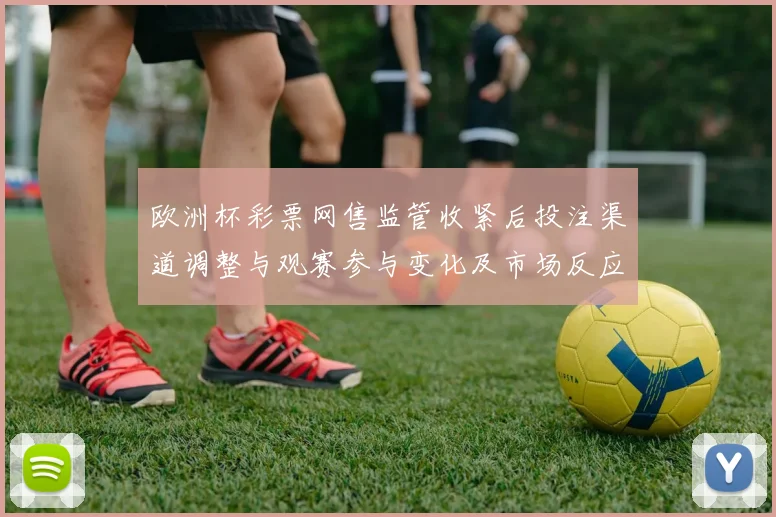 欧洲杯彩票网售监管收紧后投注渠道调整与观赛参与变化及市场反应