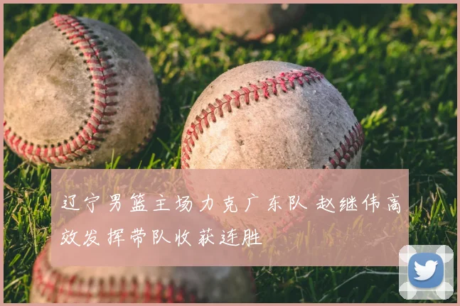 辽宁男篮主场力克广东队 赵继伟高效发挥带队收获连胜