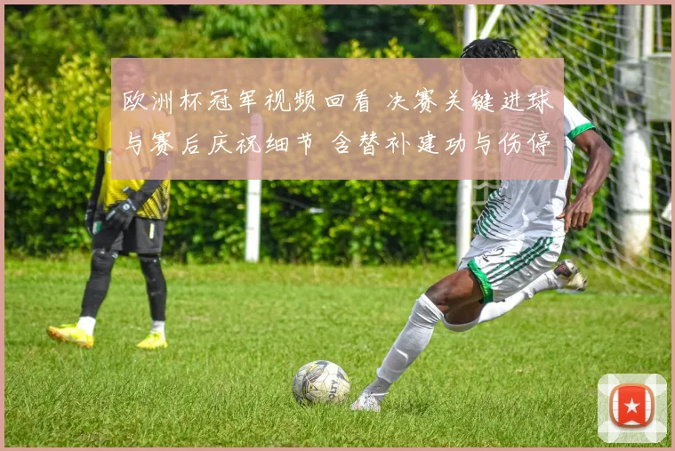 欧洲杯冠军视频回看 决赛关键进球与赛后庆祝细节 含替补建功与伤停情况