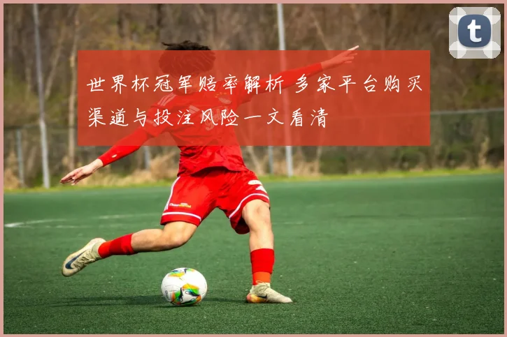 世界杯冠军赔率解析 多家平台购买渠道与投注风险一文看清