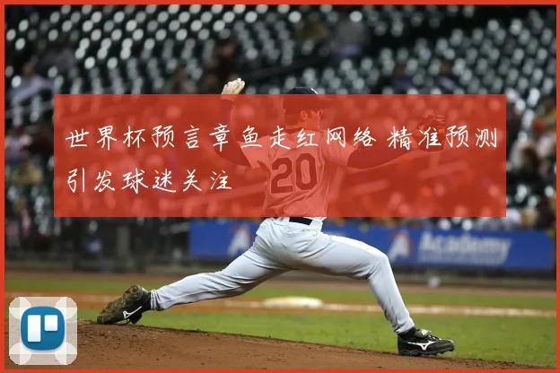 世界杯预言章鱼走红网络 精准预测引发球迷关注