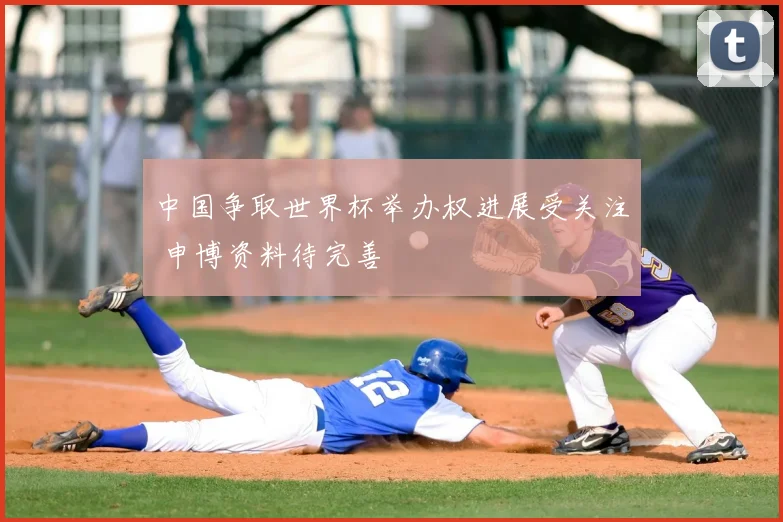 中国争取世界杯举办权进展受关注 申博资料待完善
