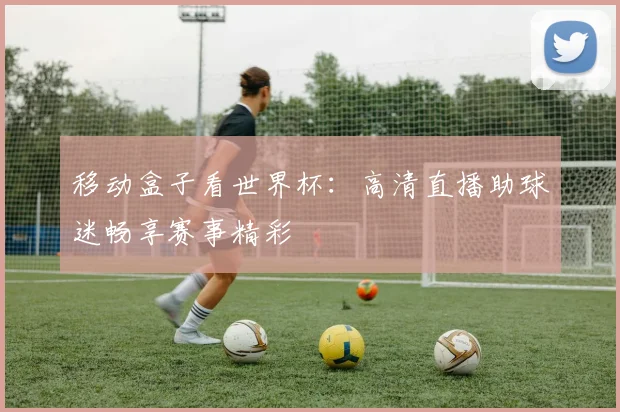 移动盒子看世界杯:高清直播助球迷畅享赛事精彩