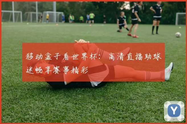移动盒子看世界杯：高清直播助球迷畅享赛事精彩